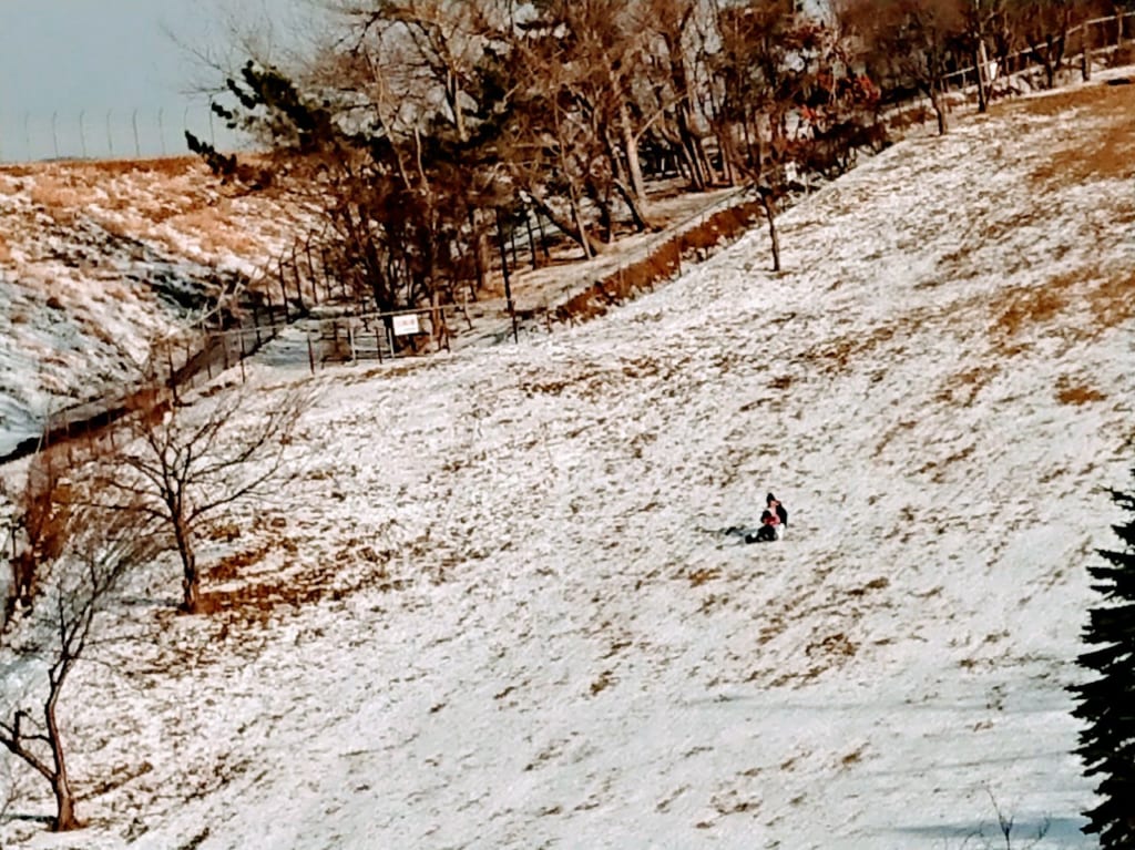 2020年・志海苔公園