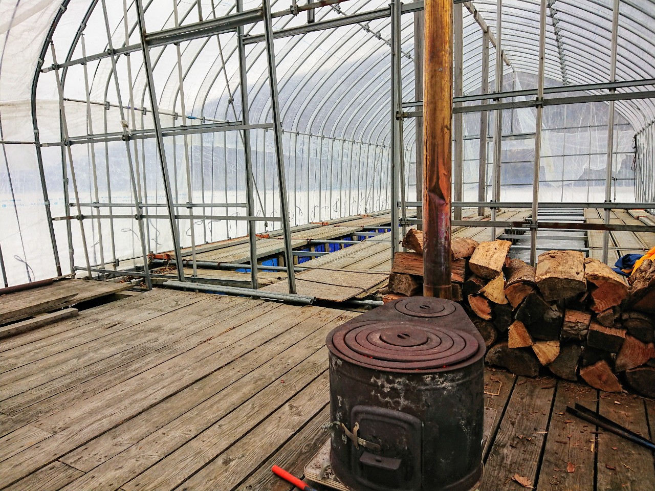 函館市 道具がなくても大丈夫 函館大沼じゅんさい沼氷上でワカサギ釣りをやってみよう 号外net 函館市 渡島支庁