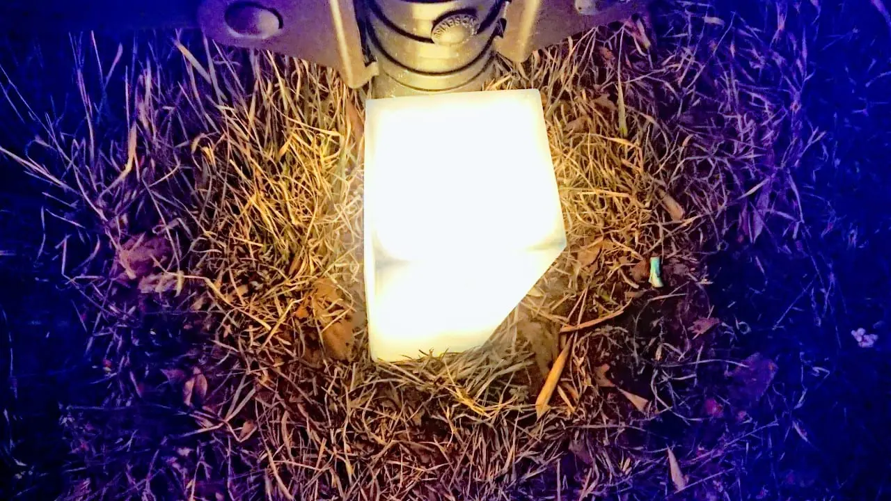 2020年シーニックdeナイト