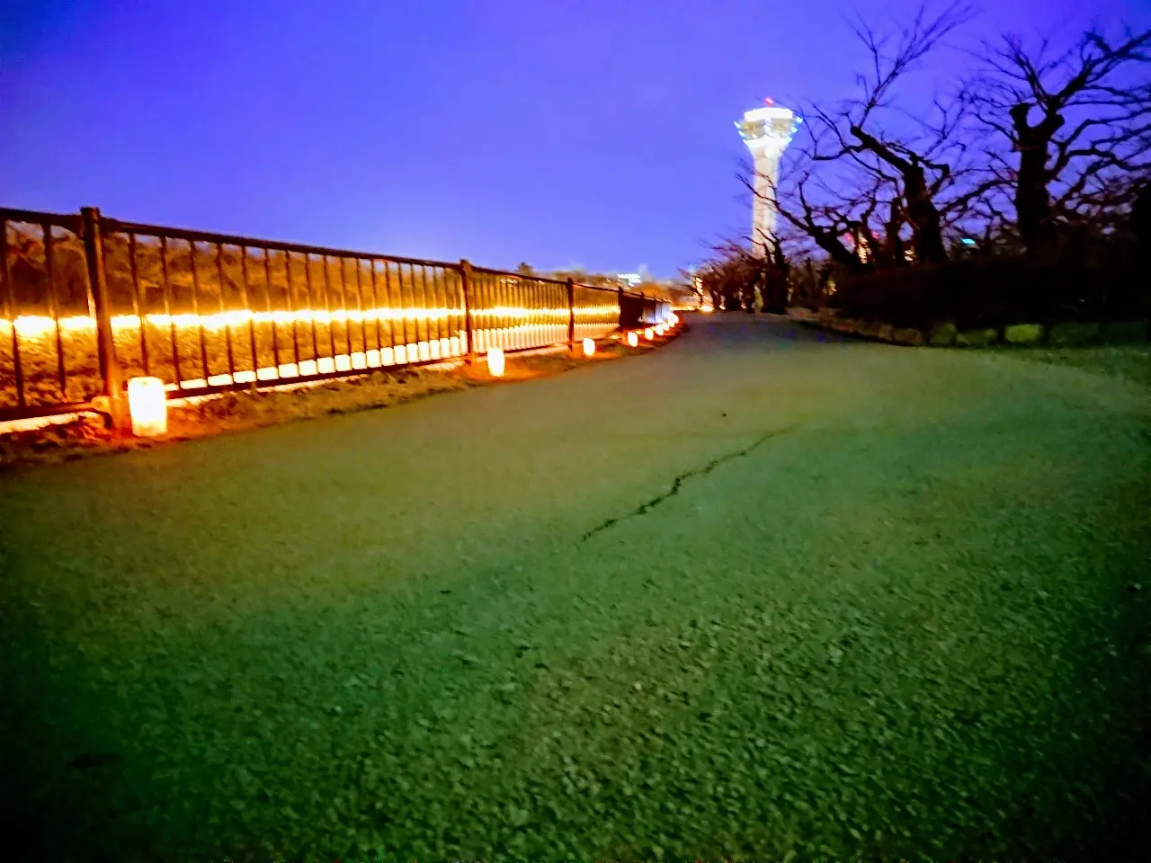 2020年シーニックdeナイト