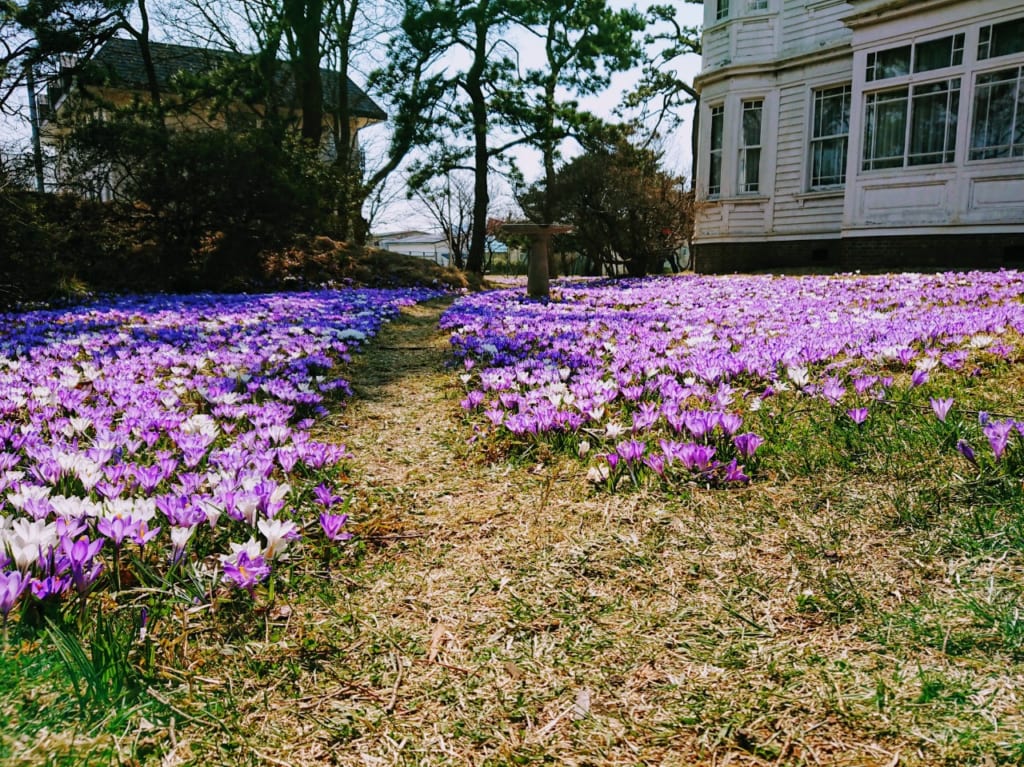 2020年遺愛学院・春