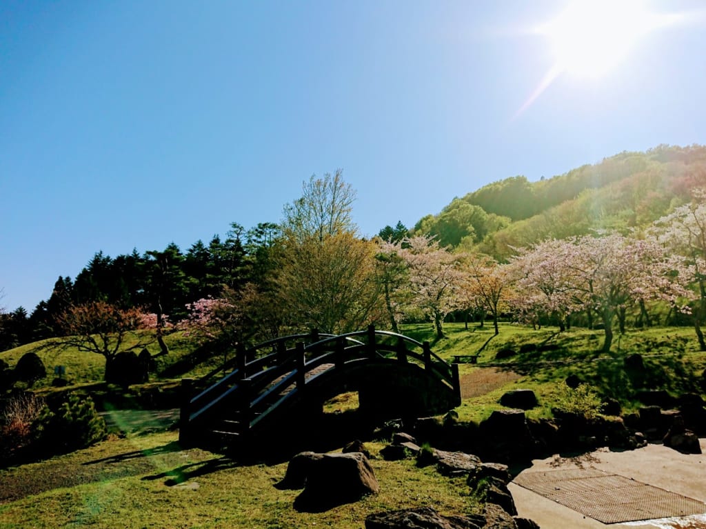 2020年新中野ダム公園・春
