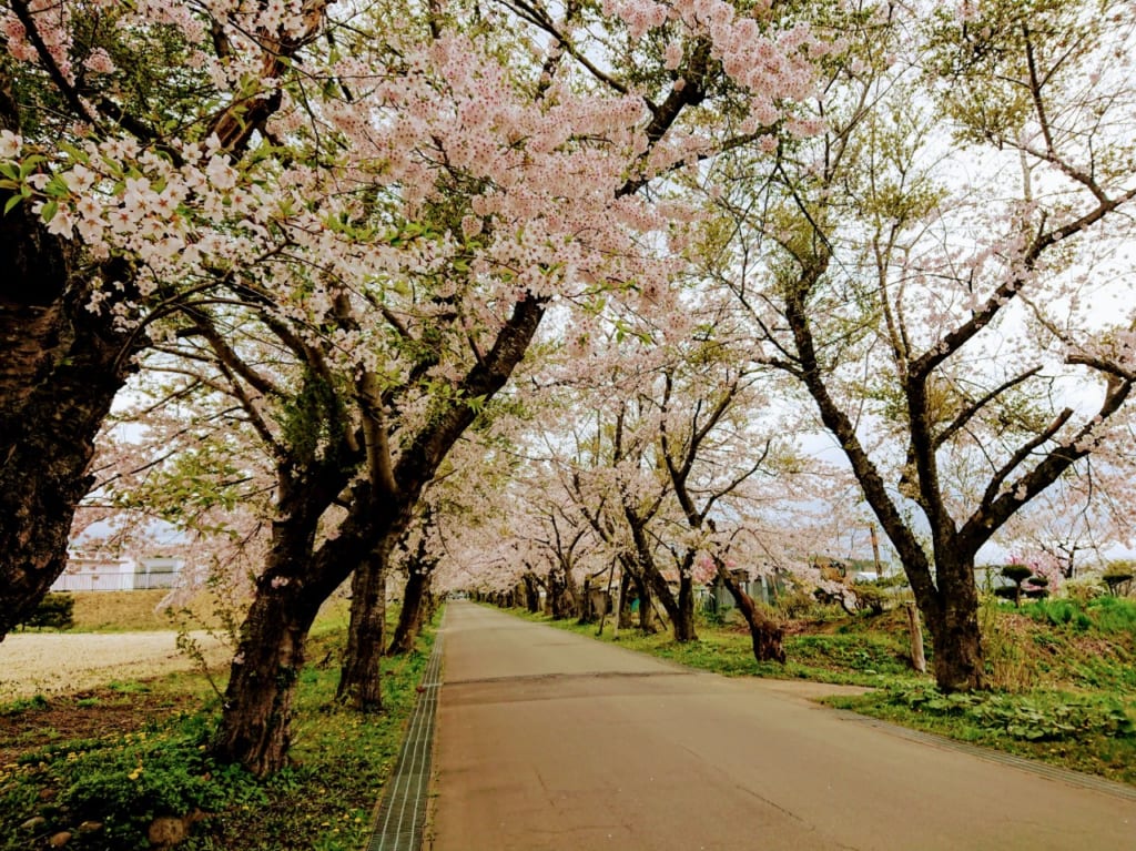 2020年松前藩戸木切地陣屋跡・春